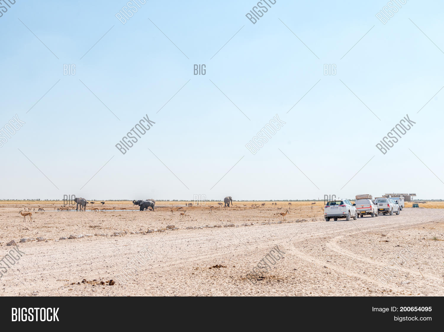 Image Preview