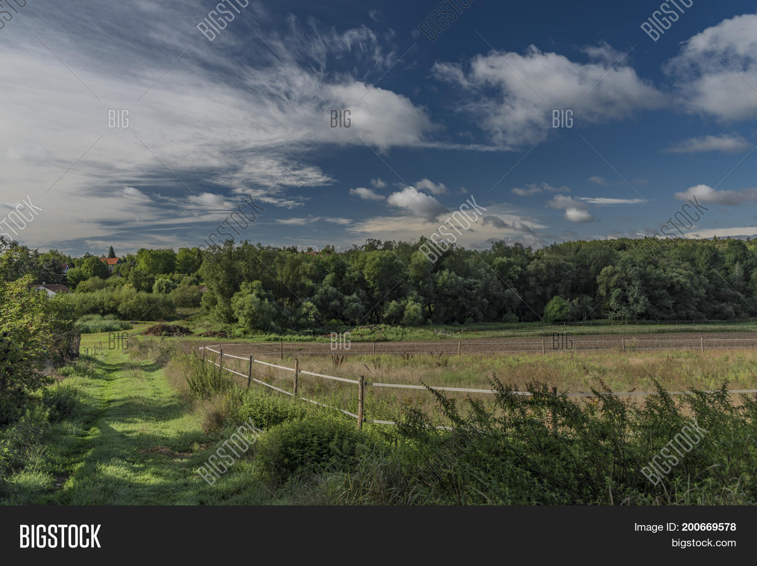 Image Preview