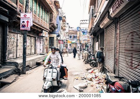 JODHPUR RAJASTHAN INDIA - MARCH 04 2016: Wide angle picture of many cows motorcycle and old people in old Jodhpur the blue city of Rajasthan in India.