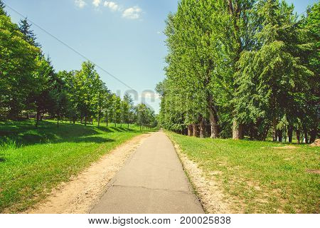 Forest park with a pond in the city center in bright sunny summer weather