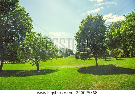 Forest park with a pond in the city center in bright sunny summer weather