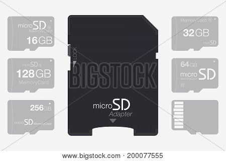 Top View Micro Sd To Sd Memory Card Adapter. Memory Chip Isolated