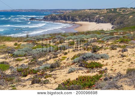 Beach And Vegetation In Almograve