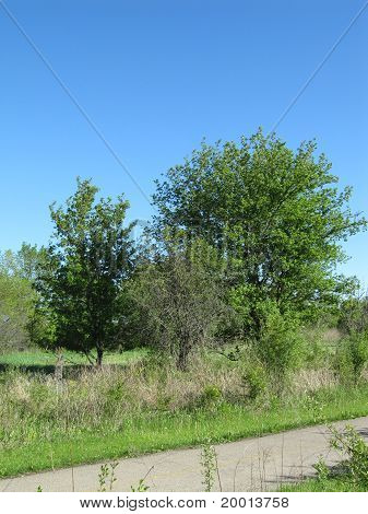 Schöner sonniger Tag im Frühjahr entlang dem Radweg