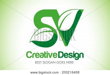 Green_leafletter82 [converted]
