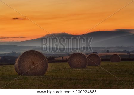 Harvest time bundles in the field  in Spain