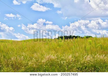Puffy clouds rolling hills green Minnesota praiirie