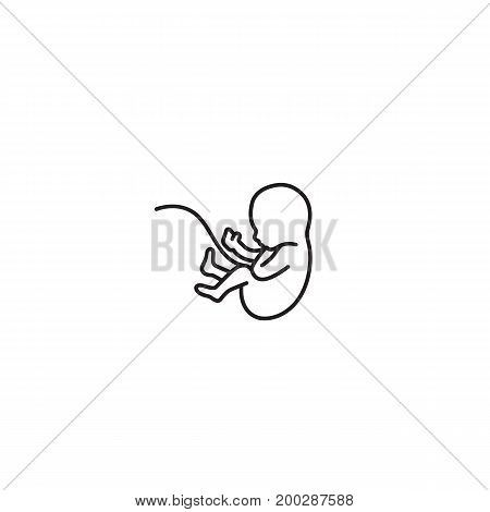 Embryo vector. The germ vector logo design