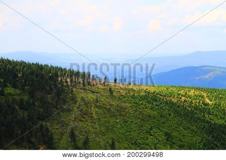 Jeseniky Mountains And Forests