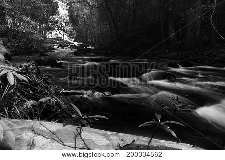 Pha Dok Seaw Waterfall in Chiang Mai Thailand