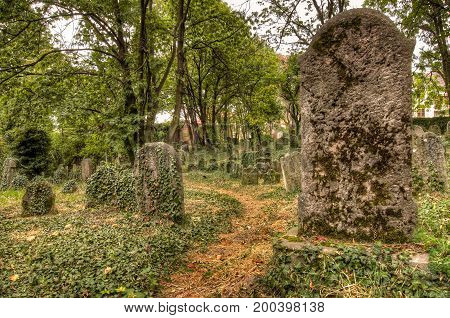 KOLIN CZECH REPUBLIC - SEPTEMBER 7 2008 - Old historical tombstones at the Old Jewish Cemetery in Kolin Czech Republic