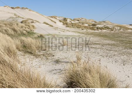 Sandy beach - Holmsland Klit Denamrk Europe.