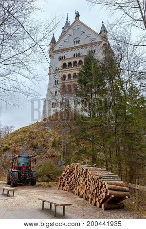 The trunks of felled trees were laid before loading on a sawmill.