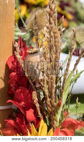 handmade beautiful bouquets from flowers and herbs