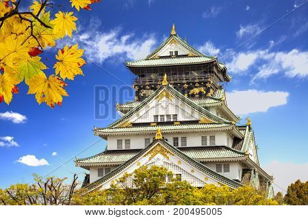 Beautiful Osaka Castle In Osaka With Nice Background, Japan