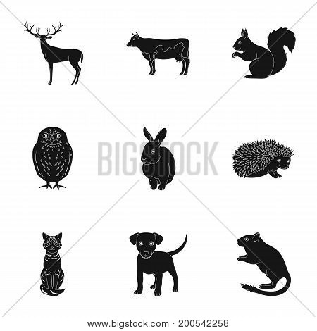 Deer, tiger, cow, cat, rooster, owl and other animal species.Animals set collection icons in black style vector symbol stock illustration .