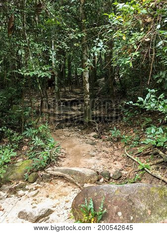 nature walkway in Khao Chamao , Rayong , Thailand