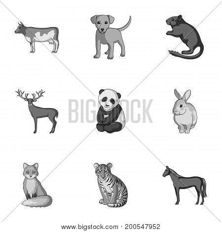 Deer, tiger, cow, cat, rooster, owl and other animal species.Animals set collection icons in outline style vector symbol stock illustration .