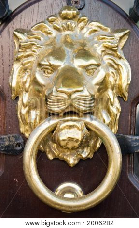 Lion Head 