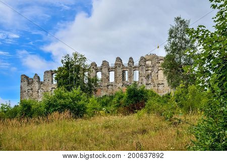 Beautiful castle ruins in summer scenery. Ruins of the castle on the Jurassic hill in Rabsztyn in Poland.