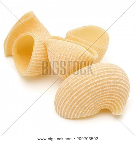 Italian lumaconi isolated on white background. Lumache, snailshell shaped pasta.