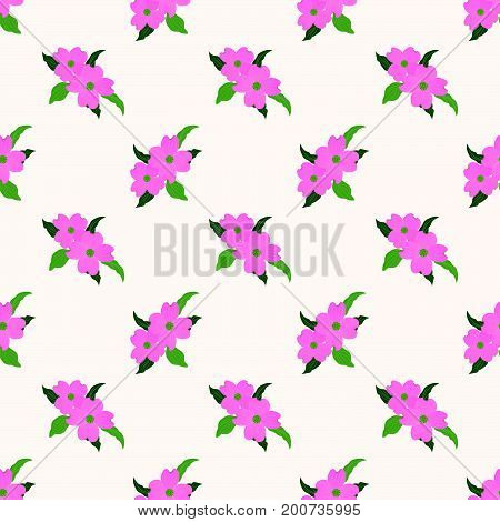 Seamless Background Image Colorful Botanic Flower Leaf Plant Pink Dogwood Cornus Florida