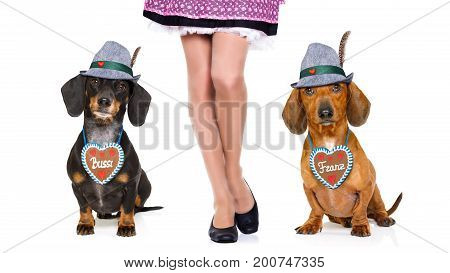 Bavarian Beer Dog