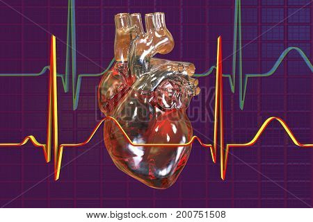 Human heart on background with ECG, 3D illustration