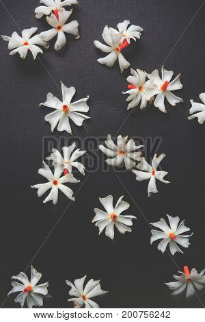 Nyctanthes arbor-tristis or Parijat or prajakt flower typically found in India,asia