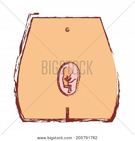 color blurred silhouette of front view pregnancy process in female body fetus human growth trimestrer vector illustration