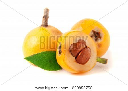 Ripe loquat or Eriobotrya japonica with leaf isolated on white background.