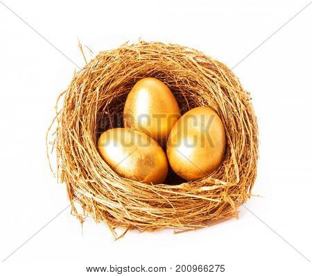 Golden eggs in the gold nest. Isolated on white background