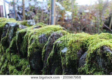 Ancient stone retaining wall with bright green moss growing on it.