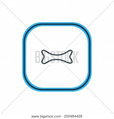 Beautiful Health Element Also Can Be Used As Osseous  Element.  Vector Illustration Of Bone Outline.