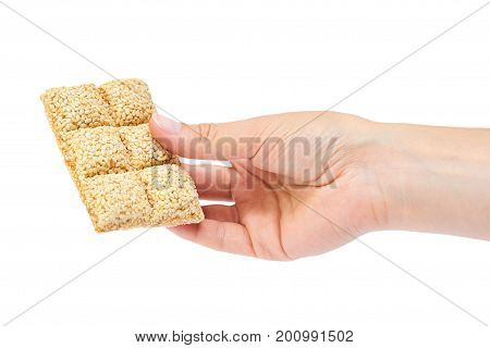 sesame brittles brick in hand Isolated on white background
