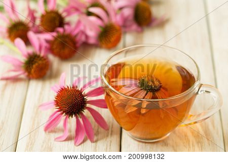 Cup of echinacea tea on white wooden table.