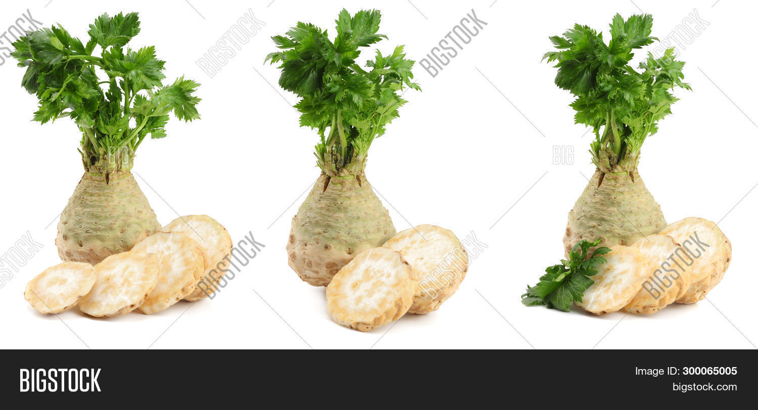 Celery Root Leaf Image Photo Free Trial Bigstock