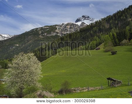 Green Spring Meadow With Haylofts And Blooming Flowers And Trees, Forest And Snow Covered Mountain P