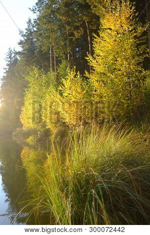 Autumn Landscape With A Reflection In The Lake