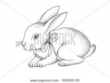 Hand-drawn Portrait Of Rabbit. Easter Bunny. Vector Illustration