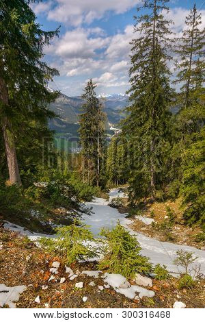 Mountain Range Nature Landscape. Mountain Layers Landscape. Summer In Mountain Forest Landscape. For