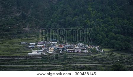 Highland Agricultural Fields Of Wheat In The Himalayas, Beautiful View Of Small Village In Uttarakha