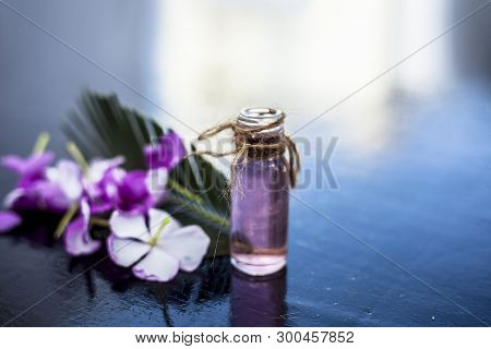Herbal And Floral Essence Or Concentration Made From Rosmarinus Officinalis Also Known As Rosemarry 