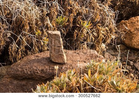 Lava Stone Displayed On A Rock In A Morning Sunshine, Surrounded By Generic Vegetation, Growing In T