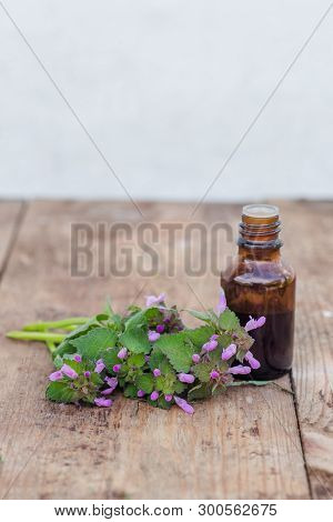 Pharmaceutical Bottle Of Medicine From Thymus Vulgaris, Common Thyme, German, Garden Or Just Thyme O