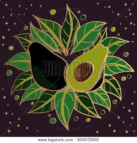 Vector Avocado With Bome On Purple Background.