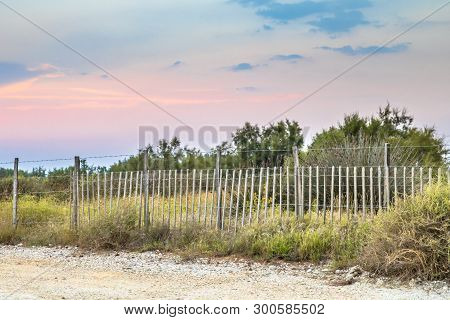 Wooden Fence Nature Reserve Of Camarque