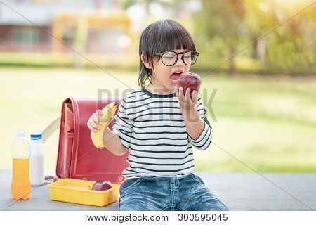 Cute Schoolboy Eating Outdoors The School From Plastick Lunch Boxe. Healthy School Breakfast For Chi