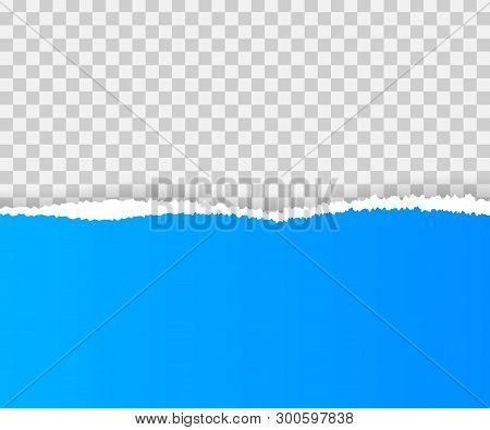 Torn Paper Edges, Seamless Horizontally. Vector Stock Illustration.