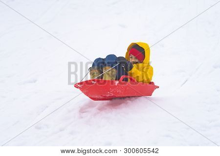 Little Japanese Girl Is Sliding Down The Snow Sled In Gala Yuzawa Ski Resort